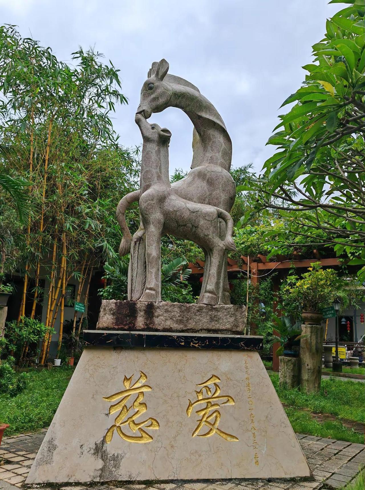 广东湛江跳水冠军之乡。民间实拍 家乡自然奇观 历史古迹不一样的风景 往年的旅游足