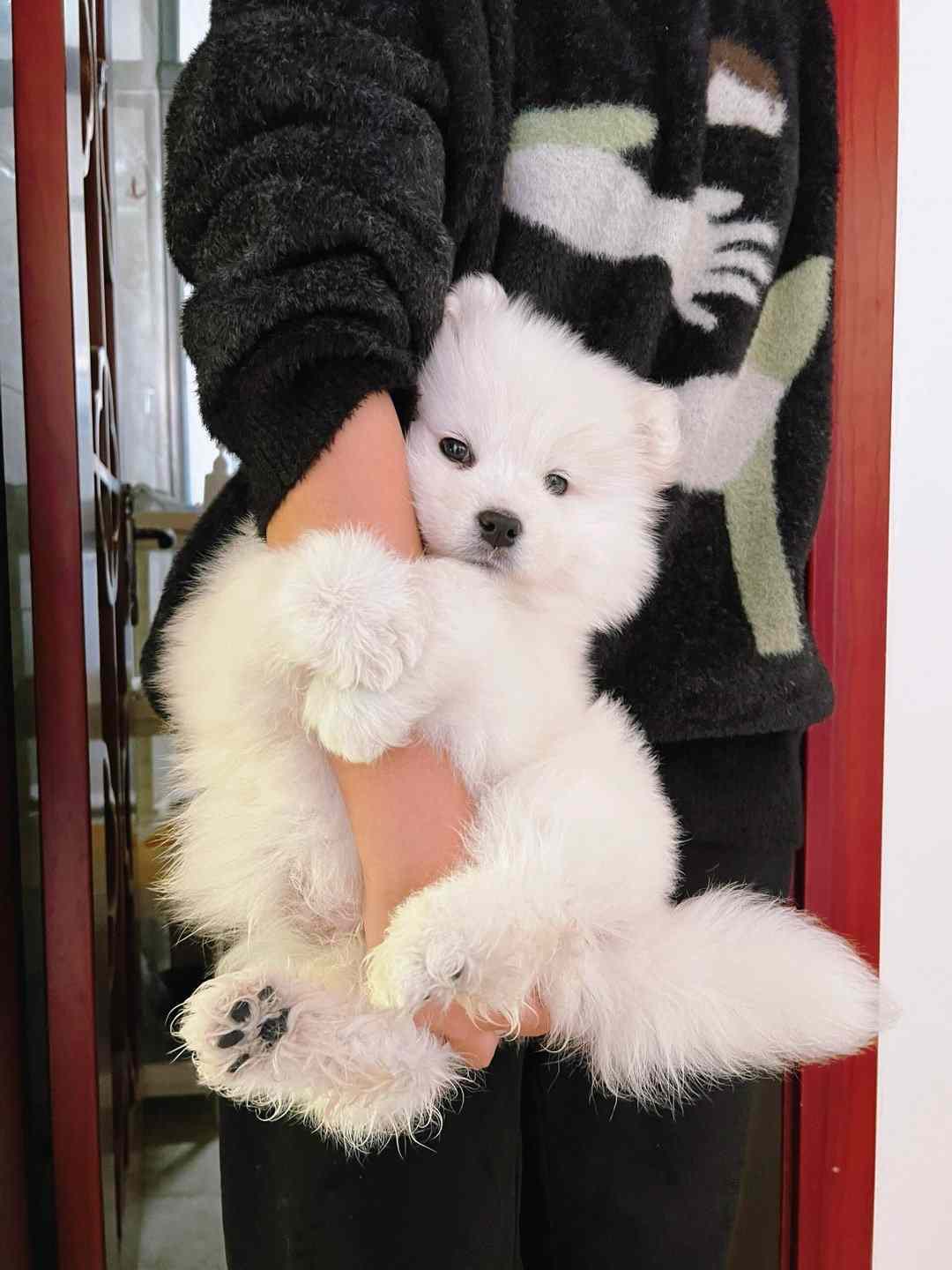 分享图片 