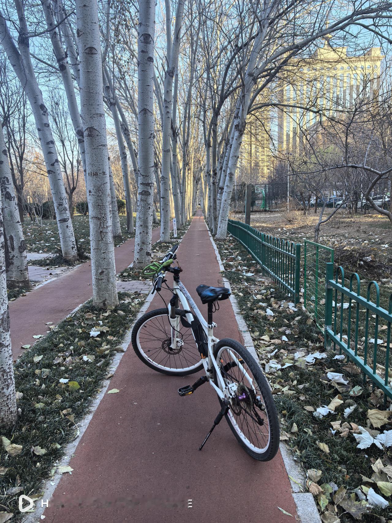 这两天全网都在热议新国标电动自行车，褒贬不一，支持的观点是安全系数更高了，不尽如