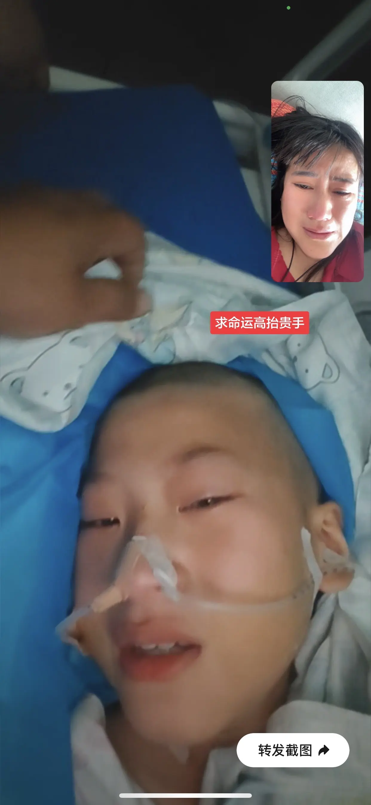 求命运高抬，给我们一点温柔，我已经把所有的骄傲弄丢！