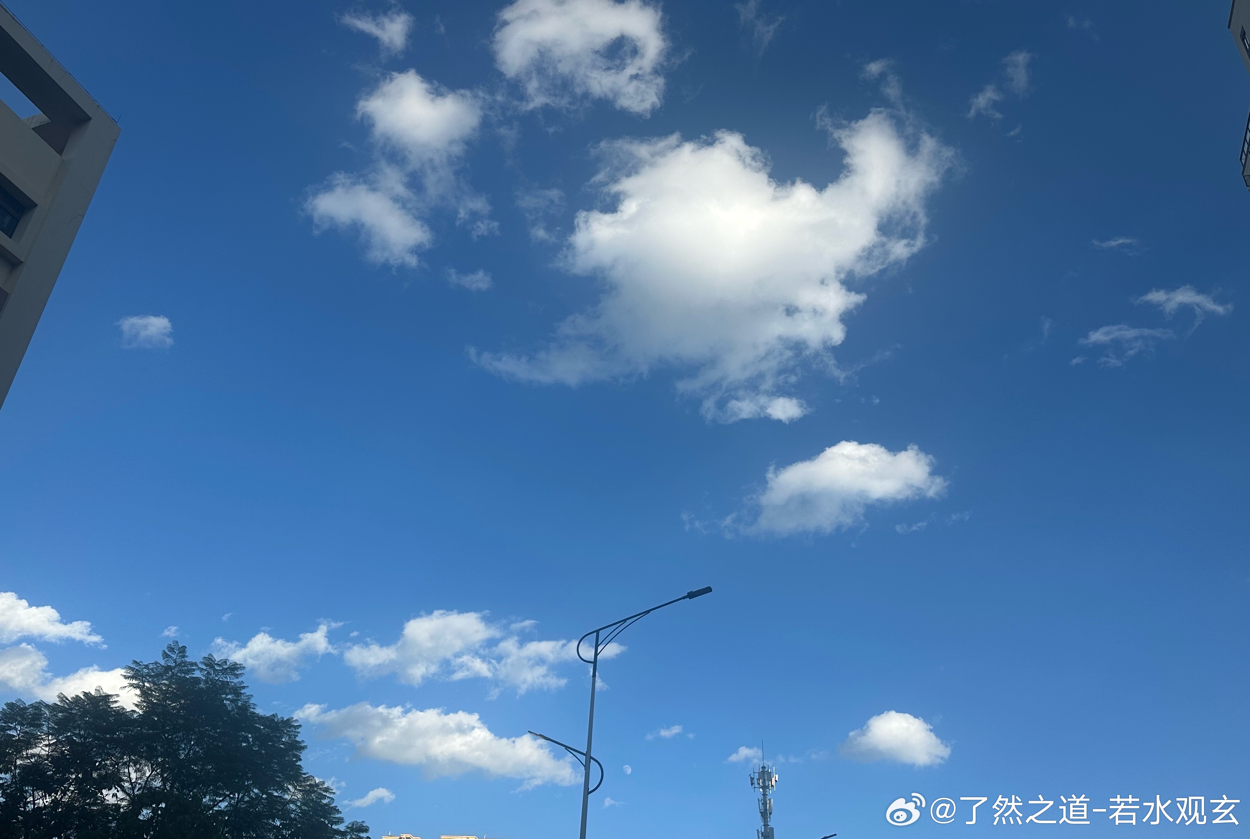 命运值得人细品，因为每个人的人生不可像游戏一样，输了重新再来。游戏可以读档、复活