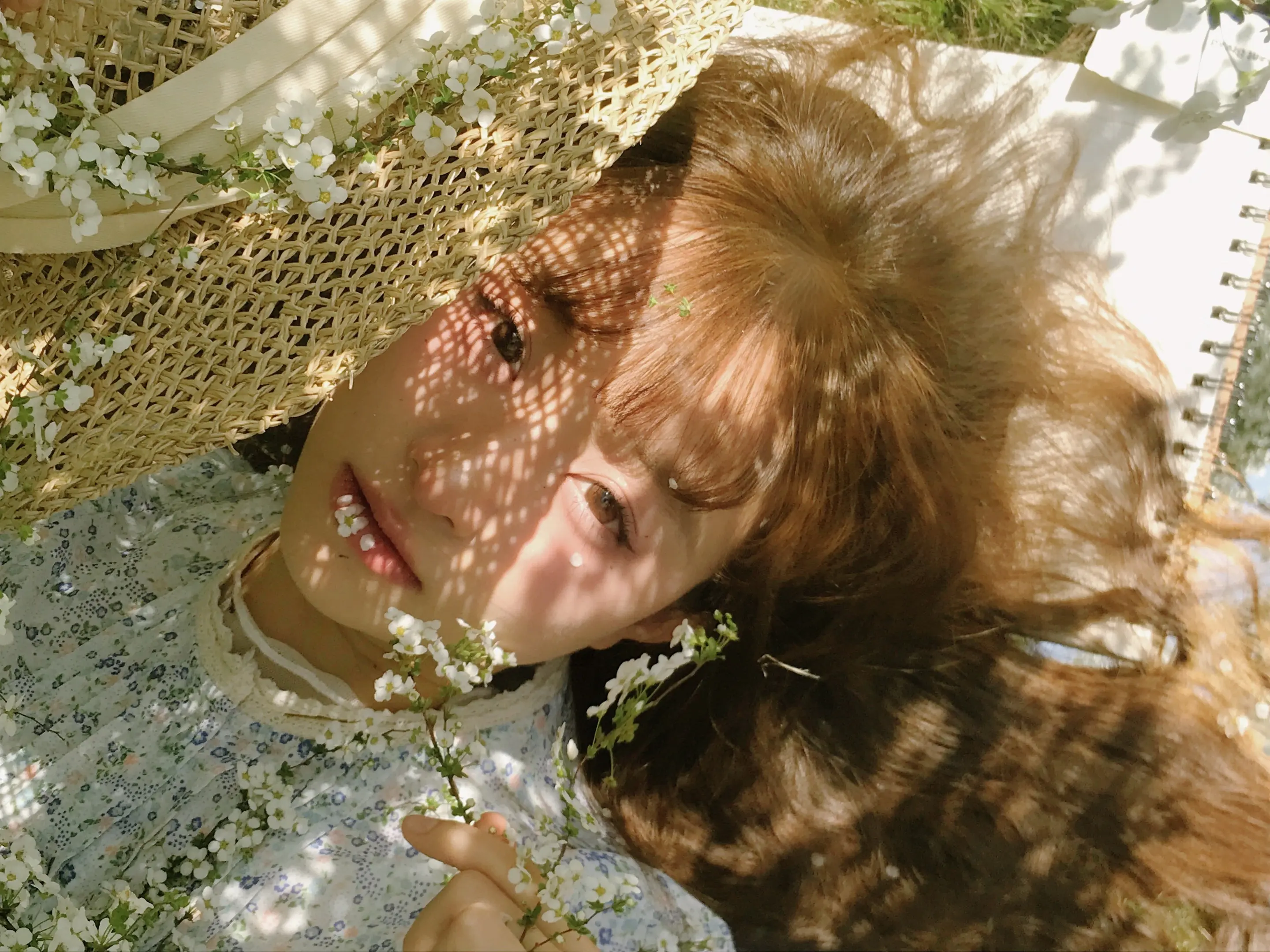 请以春的名字呼唤我