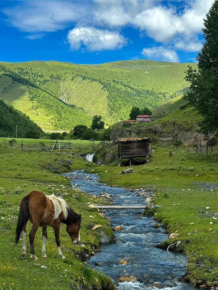 那远山呼唤的牧区风景