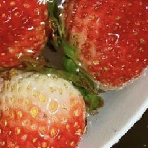 0940一、栽种时间大部分地区种植草莓的最佳时机是10-12月。不过，具体时间还