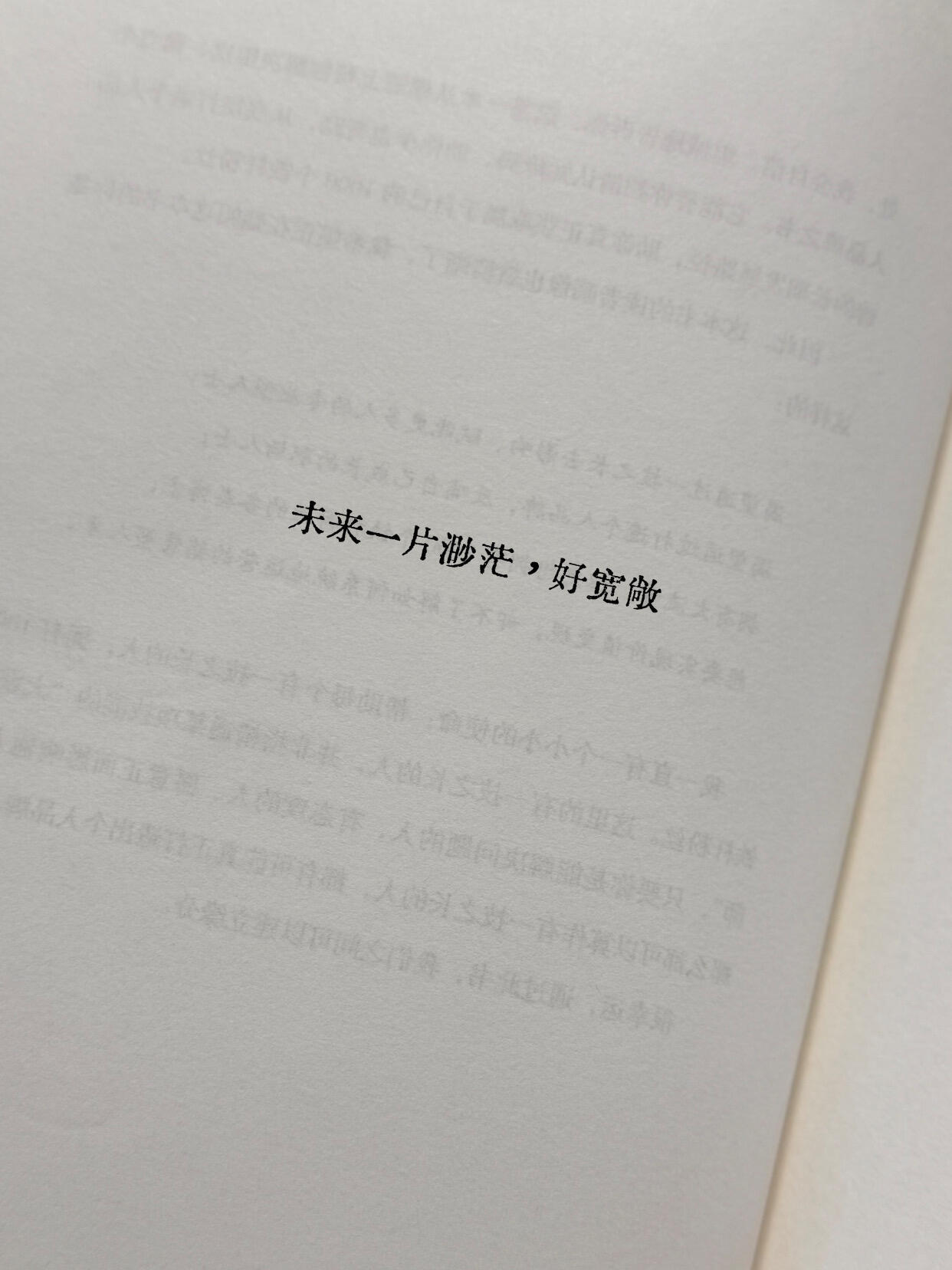 淡淡的疯感文案 