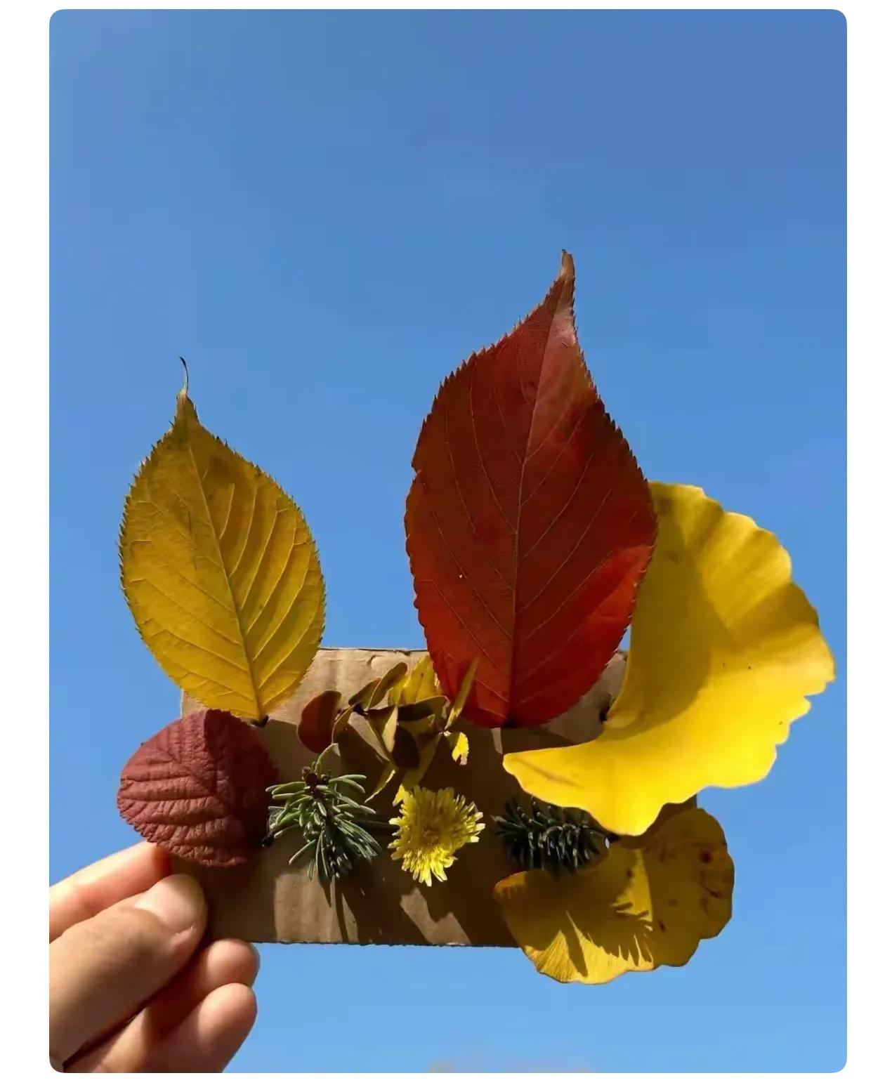 我也干过这事。

以前我接到骚扰电话，都是让它响几声，我挂断，觉得自己聪明，不接
