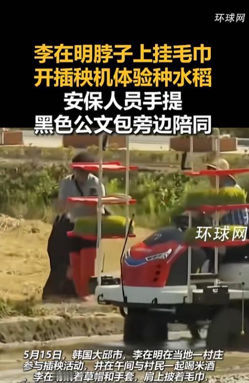 韩国总统李在明最近突然爆火，不是因为政策，而是他戴着草帽、脖子挂毛巾，一头扎进水