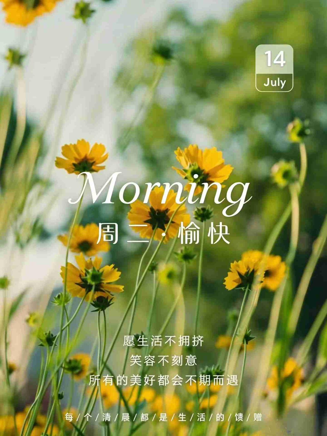 我的今日状态：😁轻松愉快
我这里的天气：☀️晴天