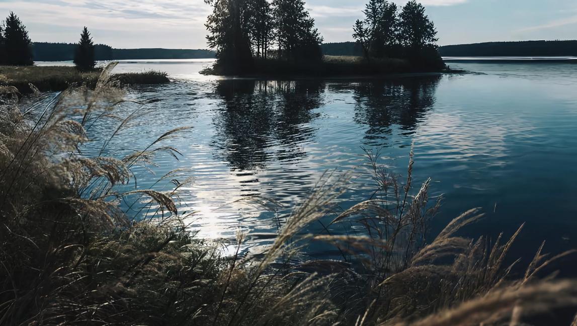 岁月长青

• 日月恒辉

• 华夏常春

• 天地同春

• 国泰民安