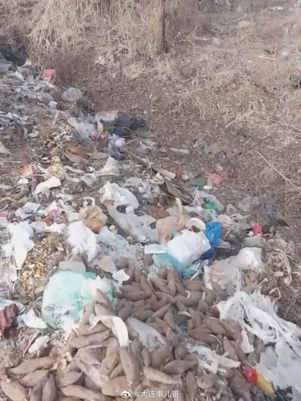 大连，网友反映:瓦房店永宁镇夏家村、永宁镇杨树底村，个别村屯垃圾碍眼。希望相关部