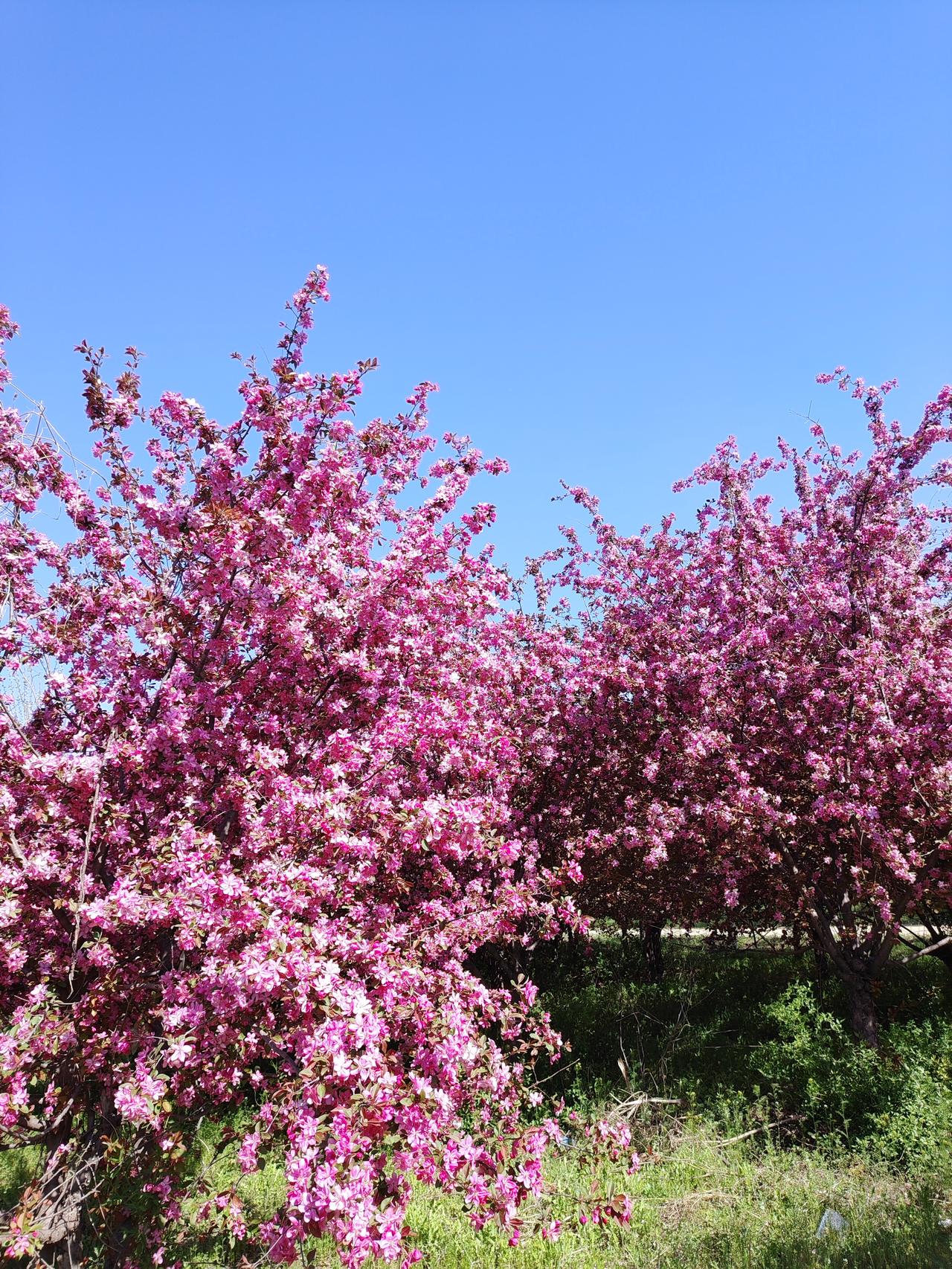 旅游的意义，从来不在风景，而是陪在身边的人。
王志文老师这段话说得太对了：
“旅