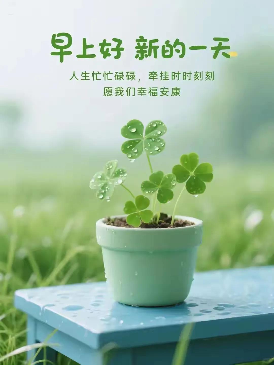 新的一天，新的开始，愿我们幸福安康！🌱💚