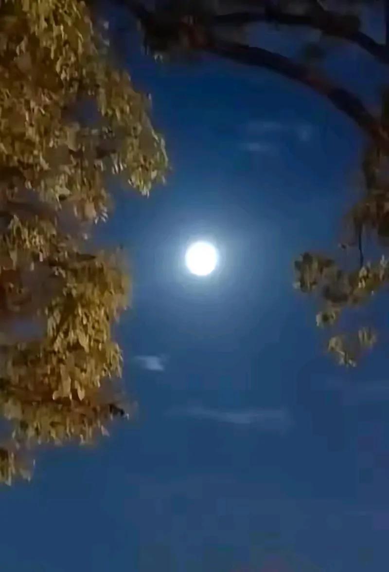 对于死，古人比现代人看得更通透…

“今人不见古时月，今月曾经照古人”，这个世界