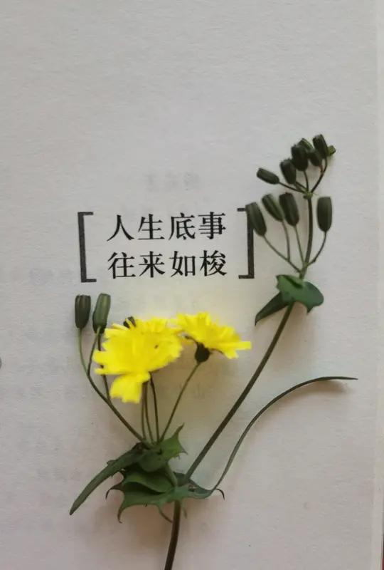 这个问题没有标准答案，但有个角度或许值得琢磨。

许多人会说答案是“认识自己”，