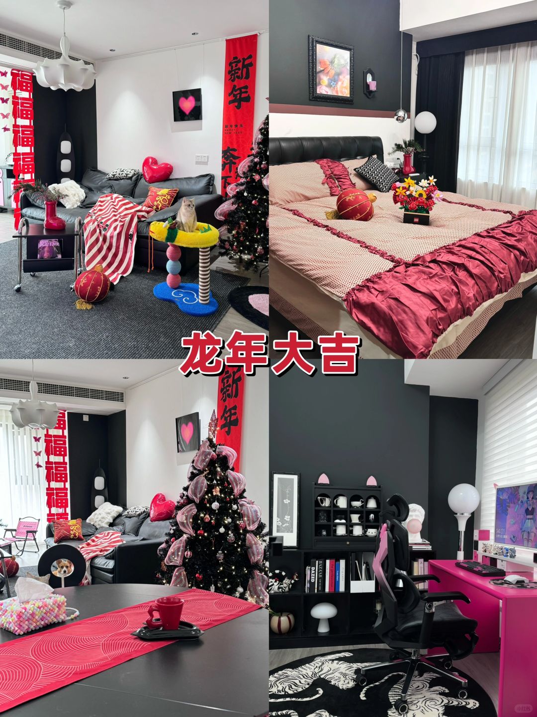 你好呀2024🧧在自己装修的婚房过年🧨太幸福