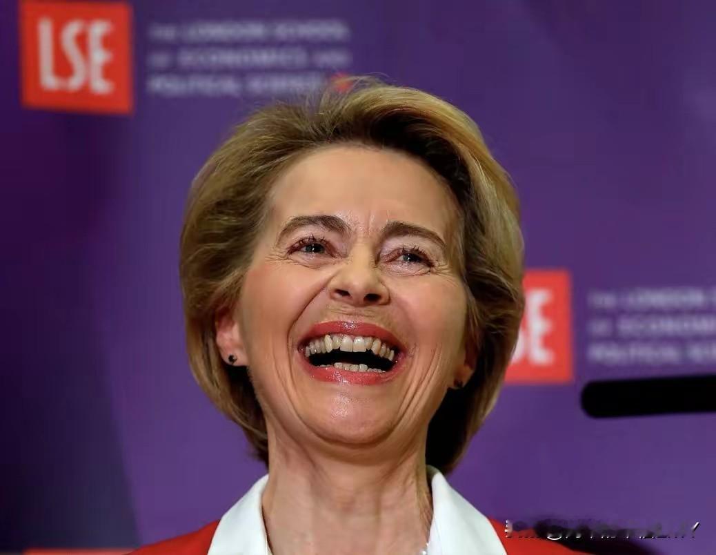 美欧签订贸易协议100天了，欧委会主席冯德莱恩当时说，特朗普对欧盟征收15%的关