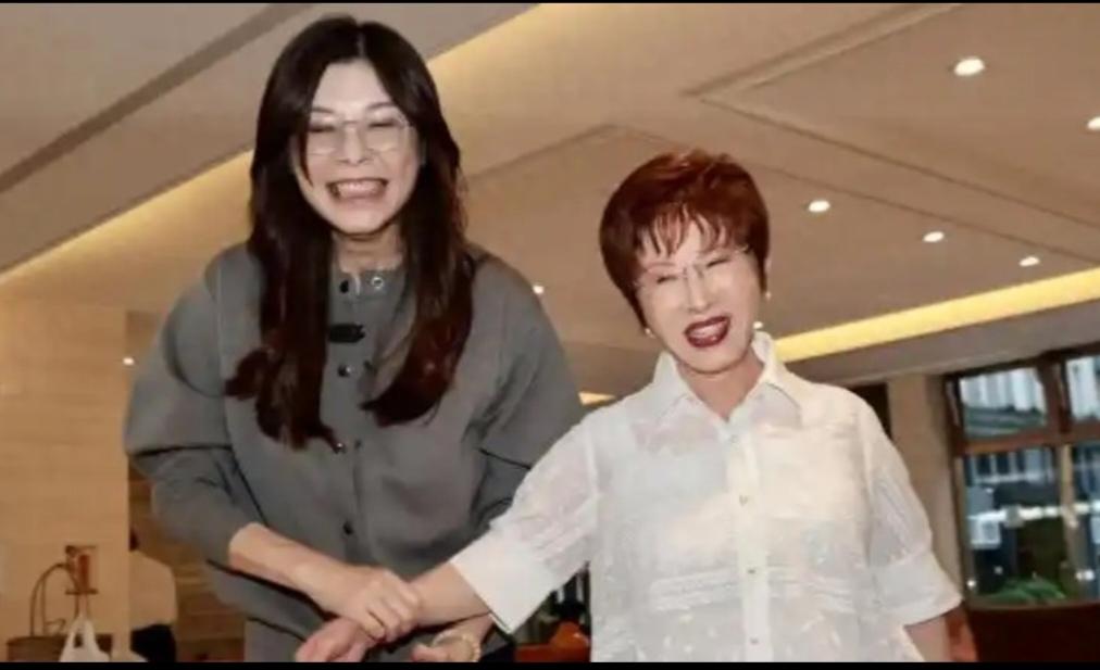 ？
洪秀柱和郑丽文在台湾政治舞台都有一定影响力。
洪秀柱是中国国民党前副主席，她