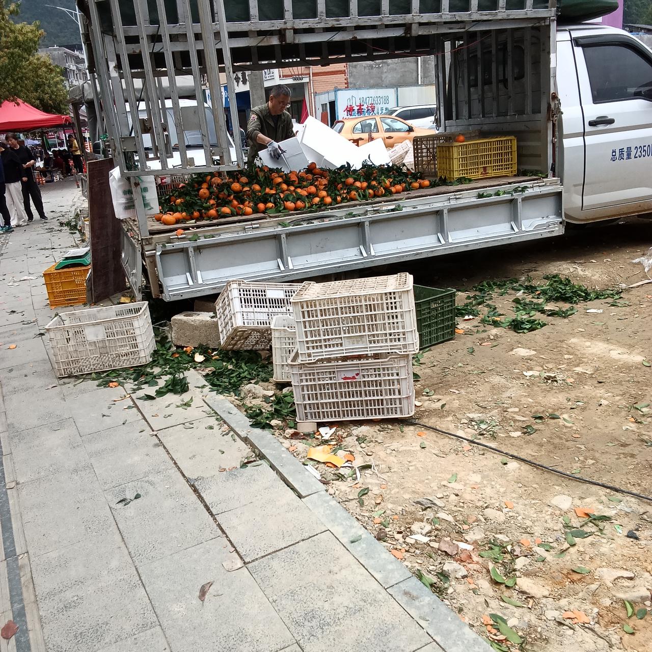 广西沃柑又便宜又好吃
怎奈邮费太贵难以寄回

从去年冬天到现在，持续了大概三个月