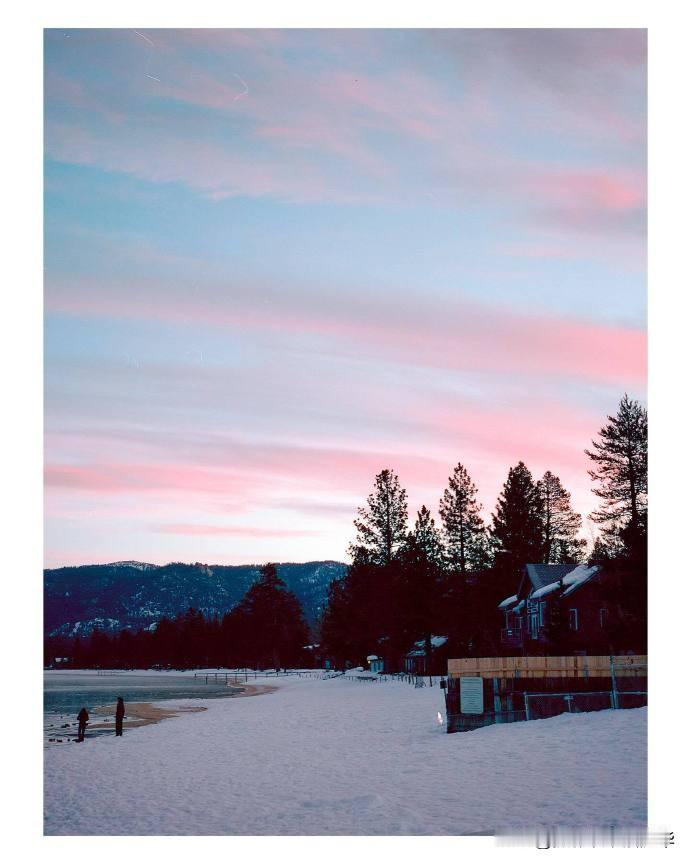 冬雪 | Nevin Johnson