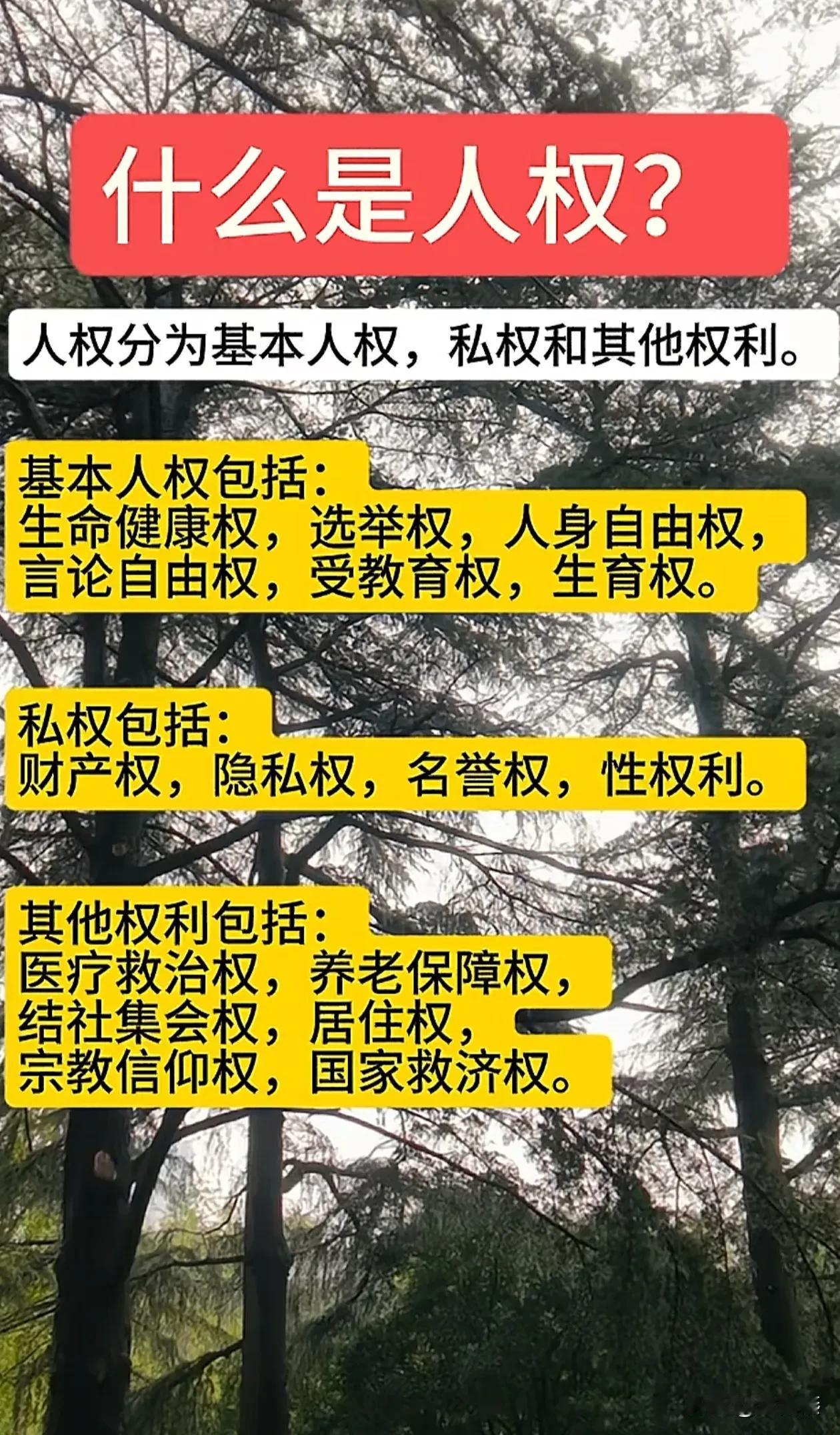 老说人权，人权的官方定义是什么？基本人权和私权有什么区别？

人权是一个统称，包