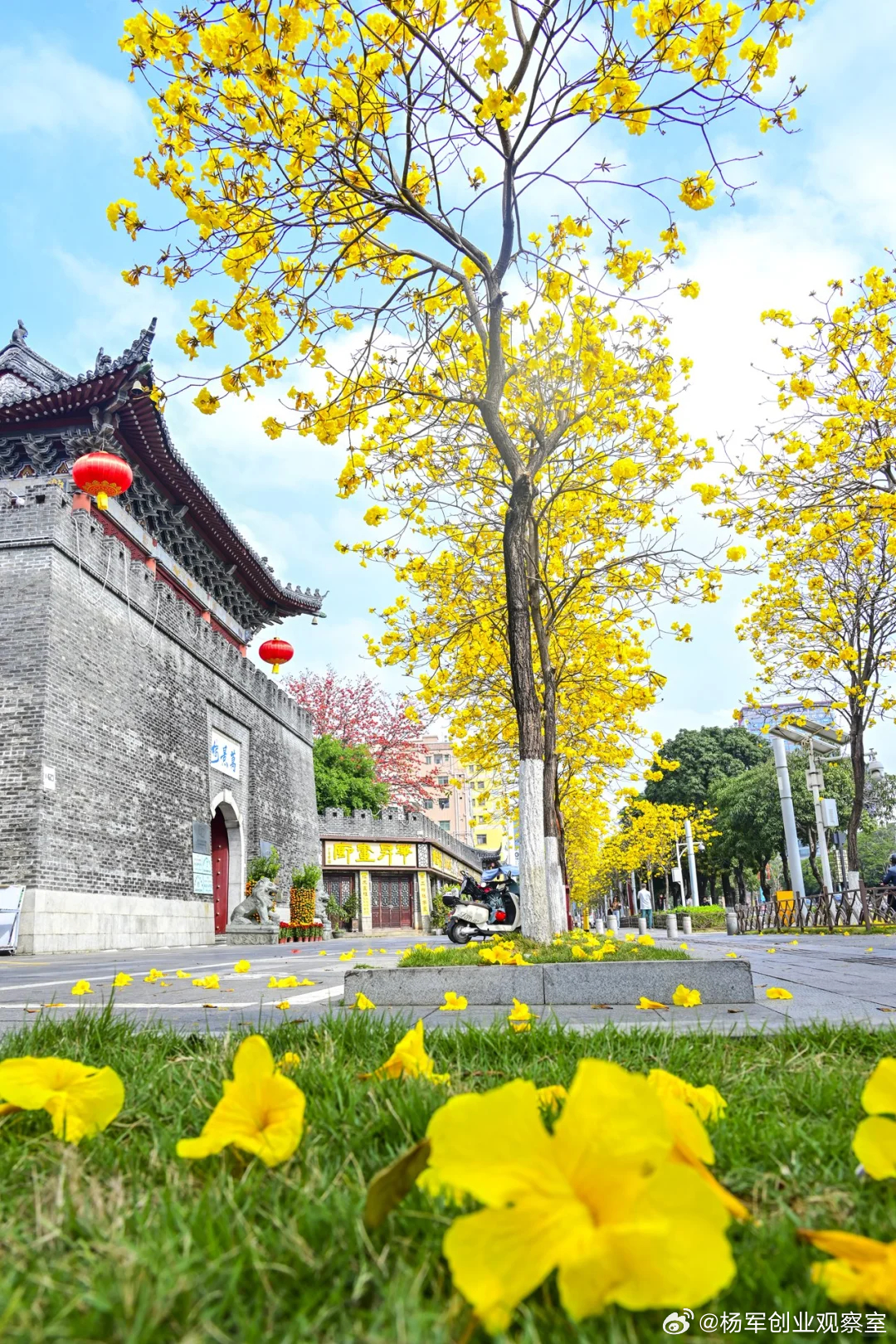 投资人要投你，发现有财务舞弊他们是怎样发现的呢？通过哪些手段呢？1.报表深度分析