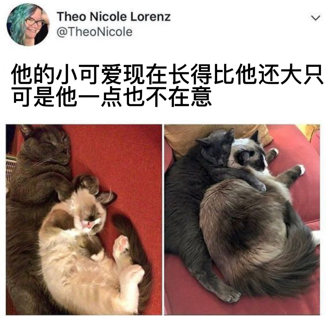 手感更好了#今日memes# //#新年快乐漫游指南# //#转发接龙开新年# 