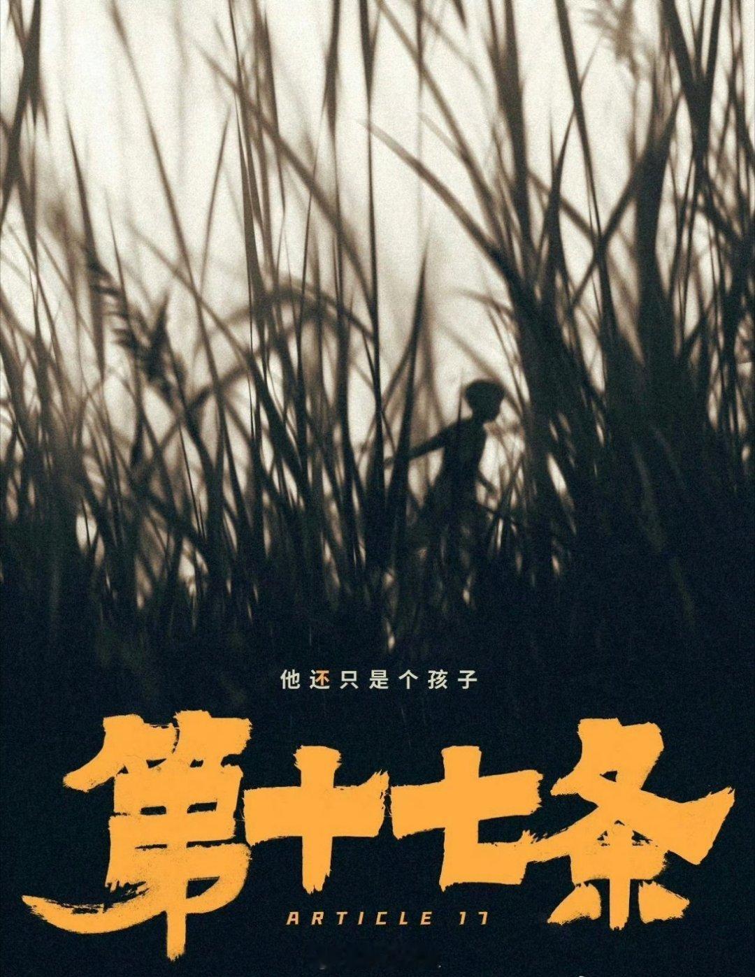 光线的董事长说范丞丞主演的电影《第十七条》，很有可能会在今年的暑期档正式上映啊，