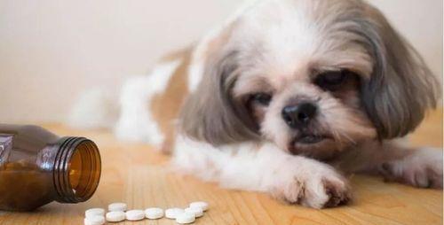 2016年，美国一男子被查出小细胞癌，寿命仅剩3个月，没想到3个月后，癌细胞竟然