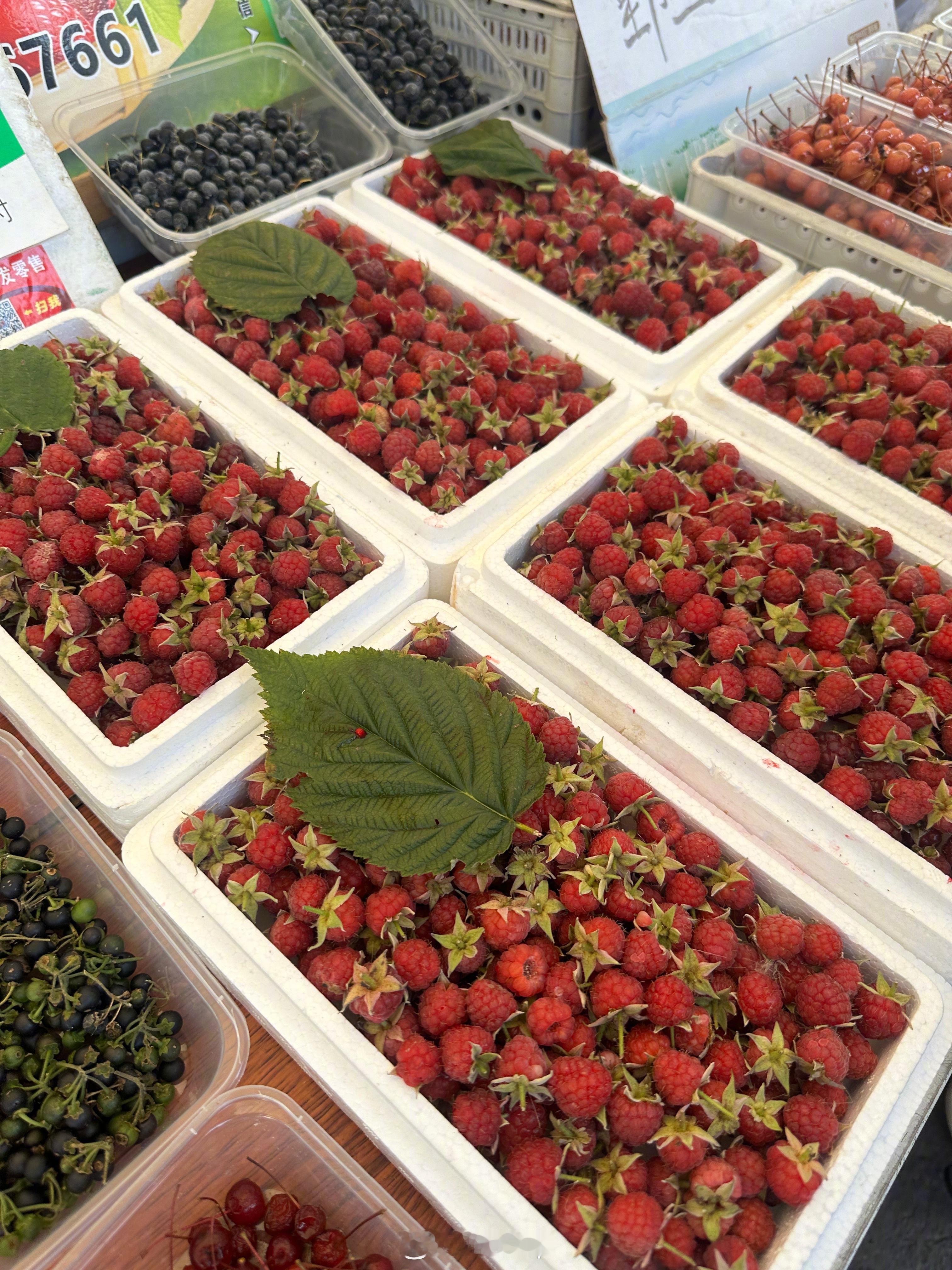 知道这是啥不？ [doge] ​​​