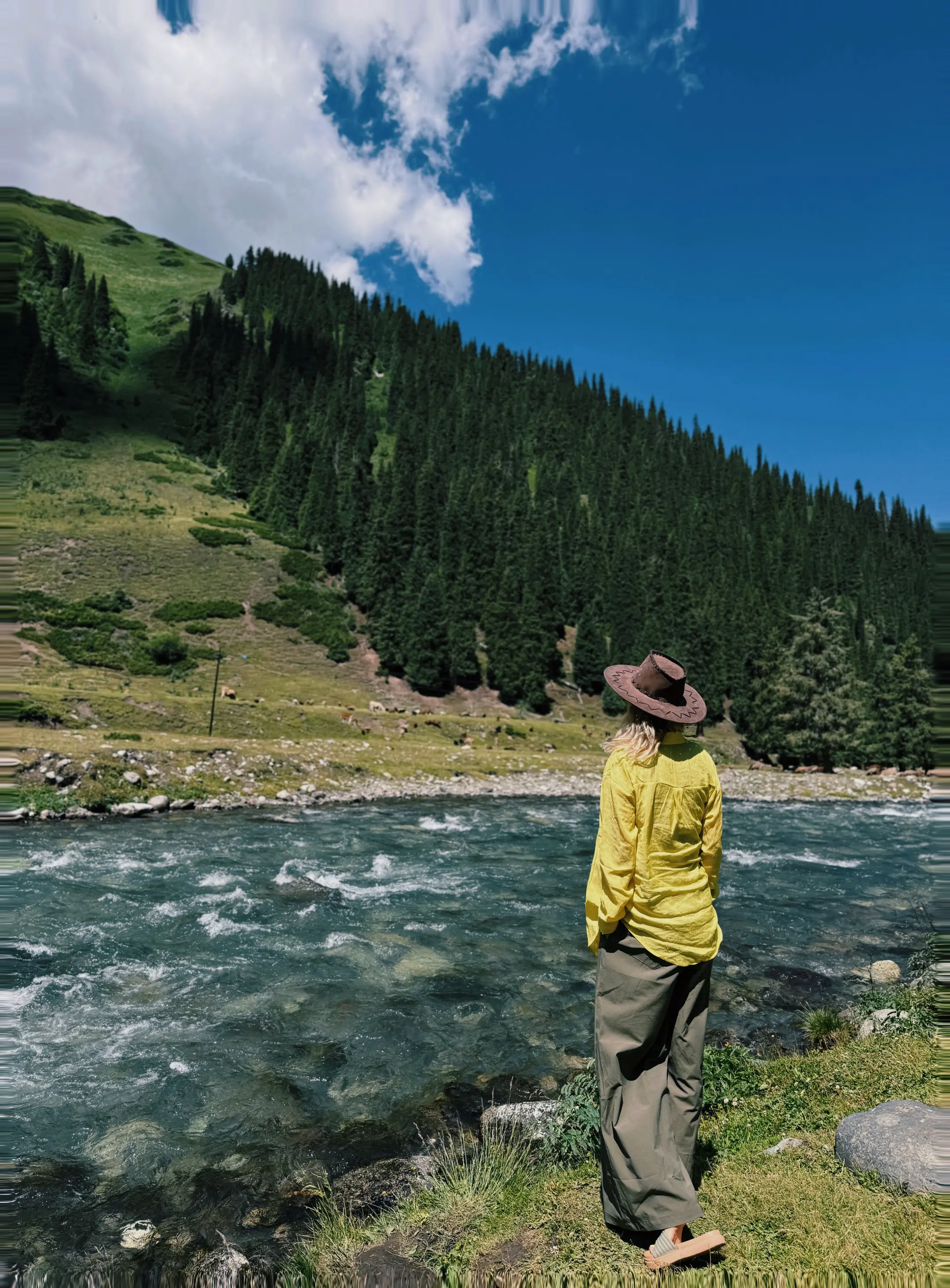 好想再年轻一次 带着现在的脑子。