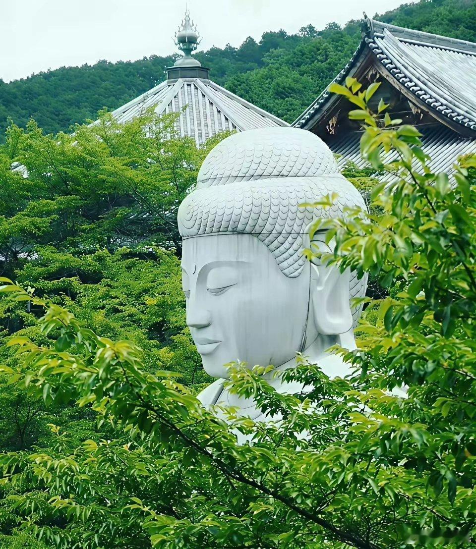 见此大佛，请刮目相看！ ​​​
