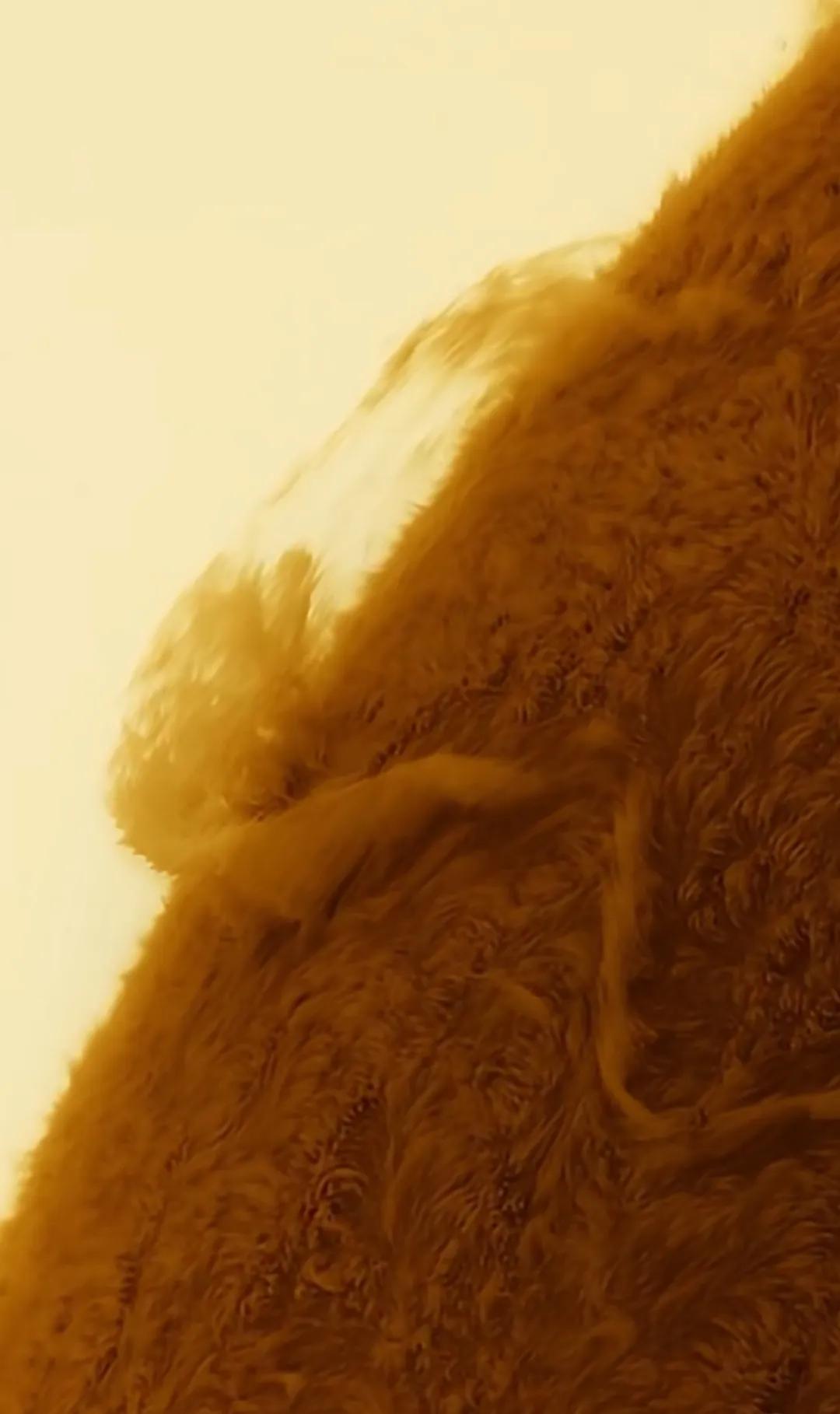 最消晰的太阳表面图像，上面毛绒绒的，犹如金色羽毛，与山海经中描述的金乌不谋而合，