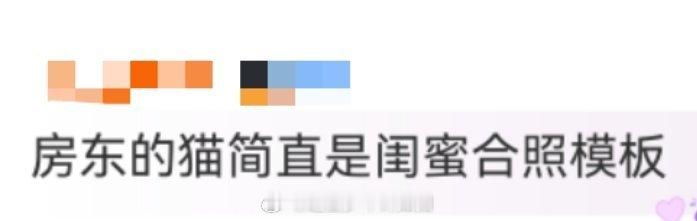 房东的猫简直是闺蜜合照模板 救命！被她们的海边合照美到失语！夕阳把影子拉得老长，
