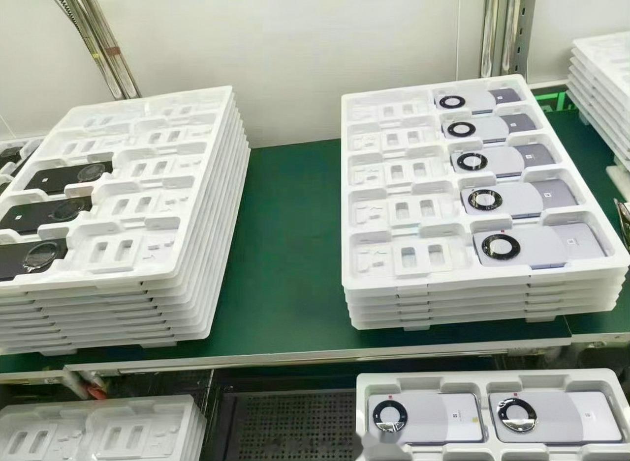  长这样？
满分 10 分，这造型给几分？