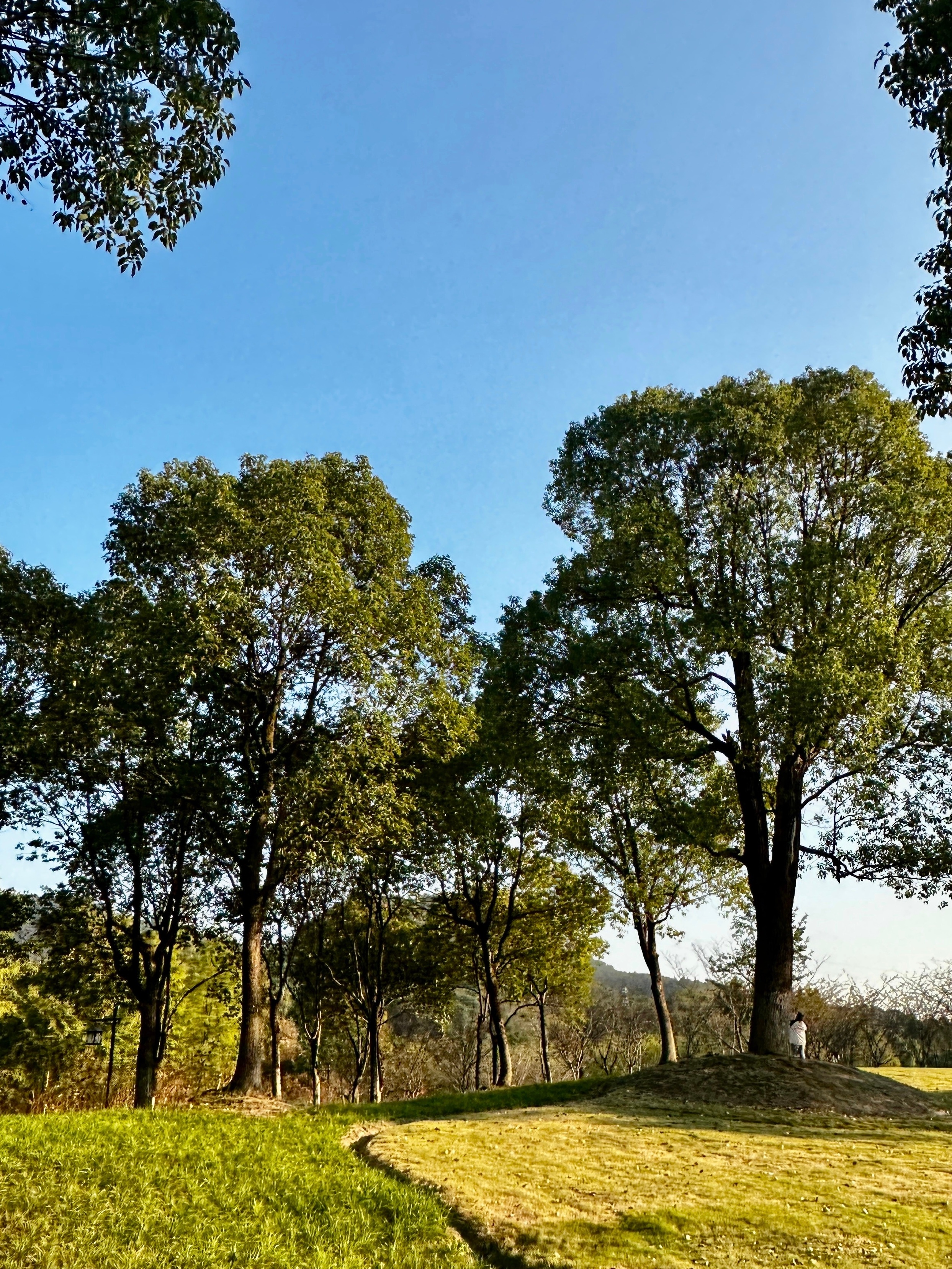 几乎可以武断地讲，人只会为自己服务但我做这行这么多年，见了太多人在解决问题的路上