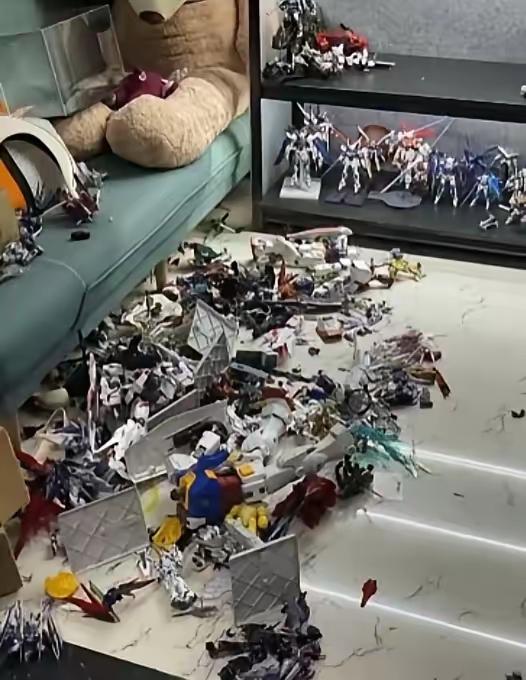 孰是孰非？”新疆，一女子与丈夫发生争吵，一怒之下，她冲到房间将丈夫珍藏了一柜子、