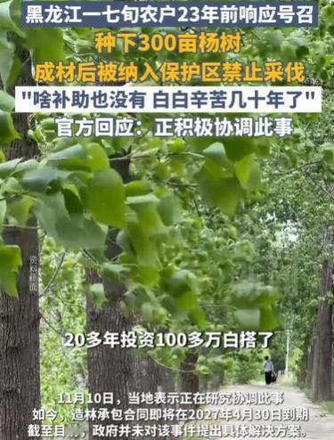黑龙江齐齐哈尔市，72岁农妇，在23年前，种了300亩杨树，有数万颗，投资了10