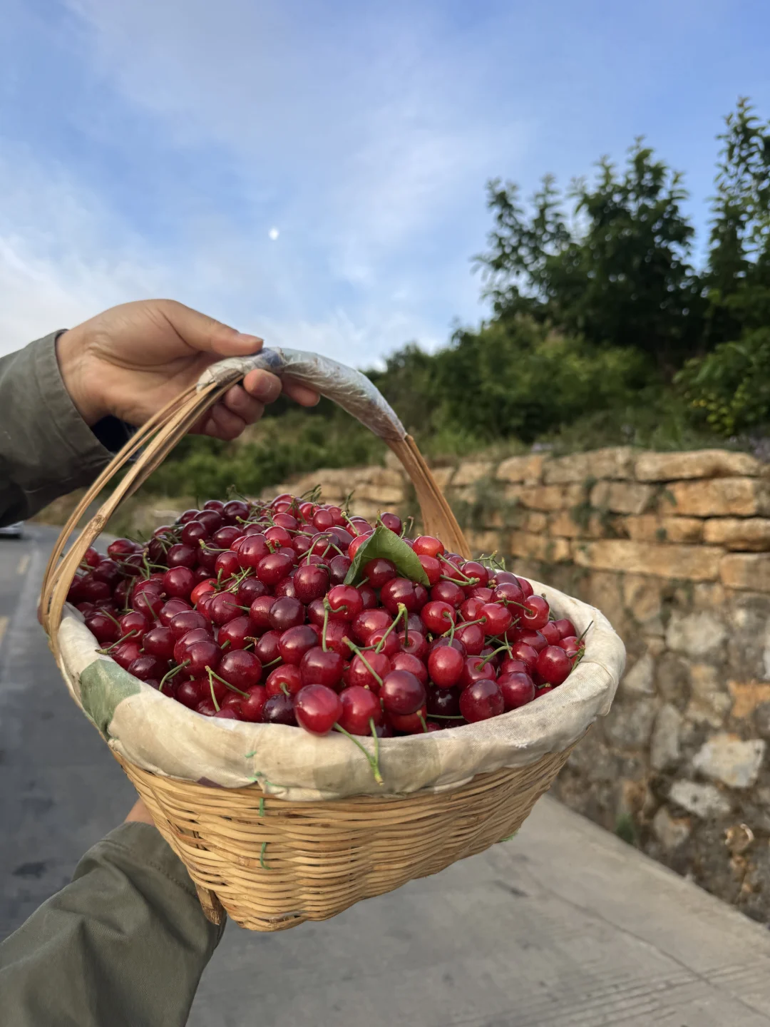 村里玛瑙红小樱桃，吃出小时候的回忆。