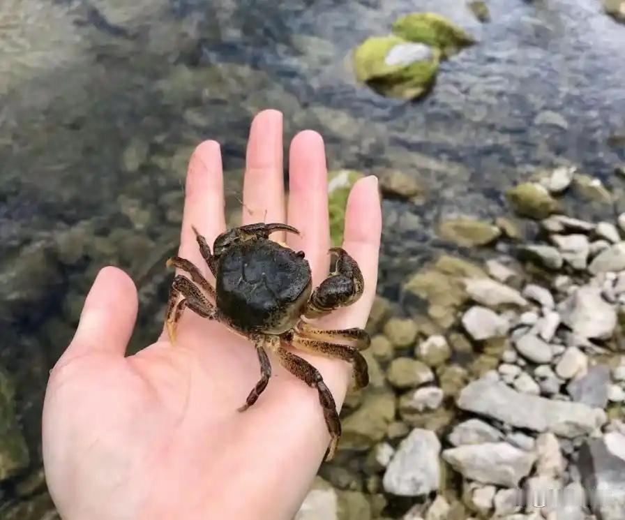 有人说，头条上的小角色太多，
把头条搞得“乌烟瘴气”。
这种戴着有色眼镜看待事物