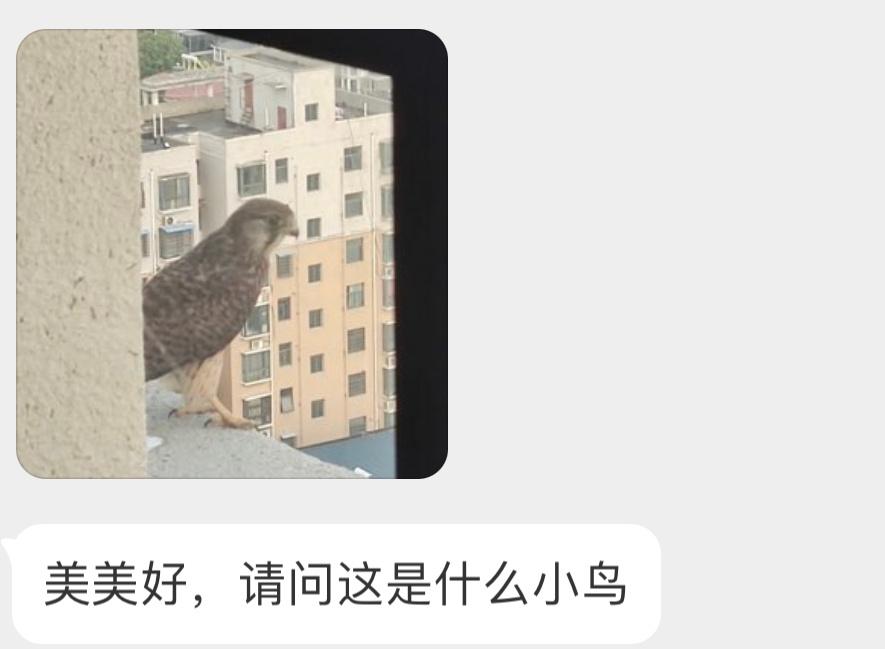 送分题环节～自信地说出它滴名字！ ​​​