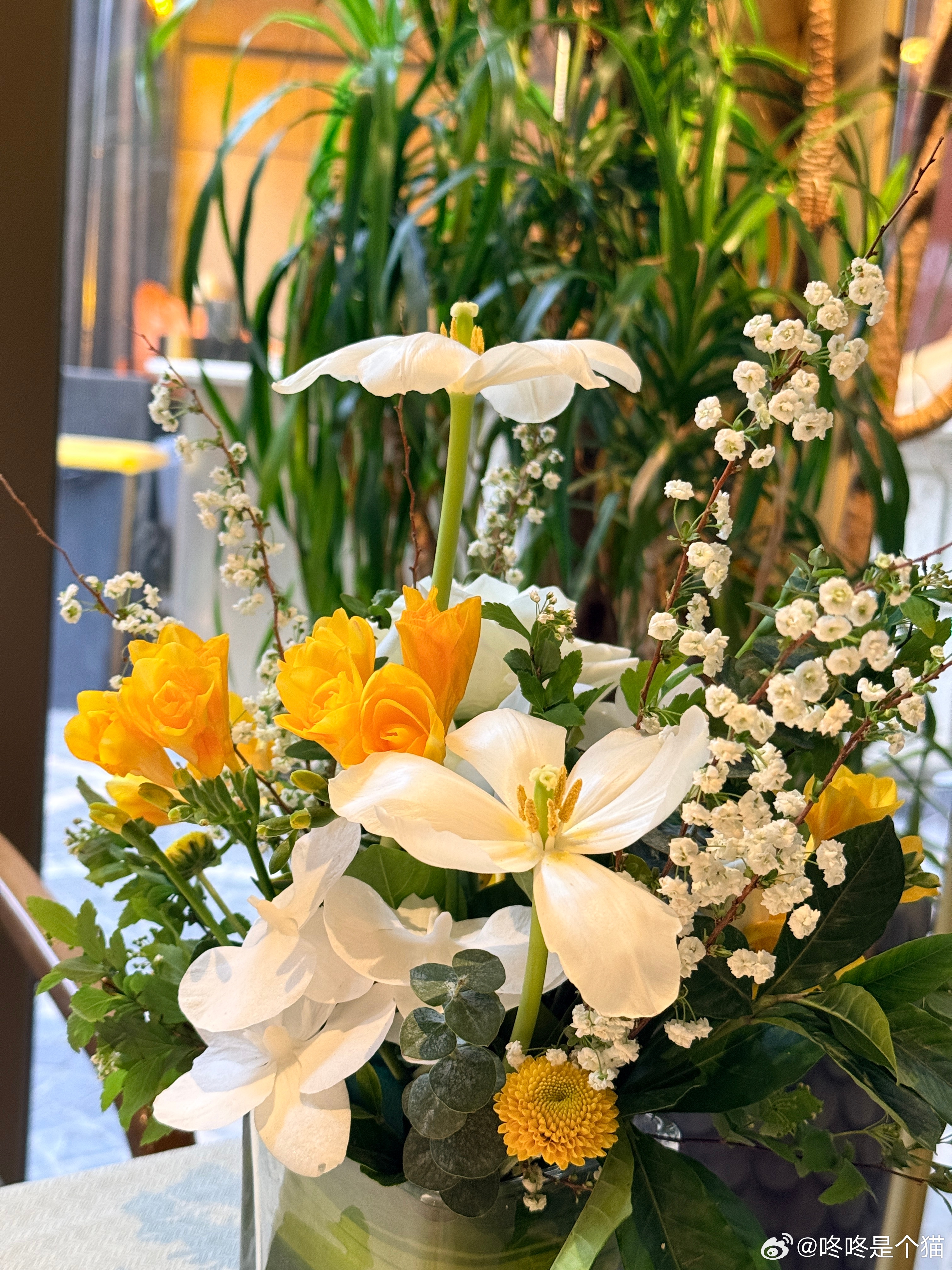 来千禧大酒店吃饭，是因为看了电影《特工》，剧情设定是在这里（实际上取景是上海）。