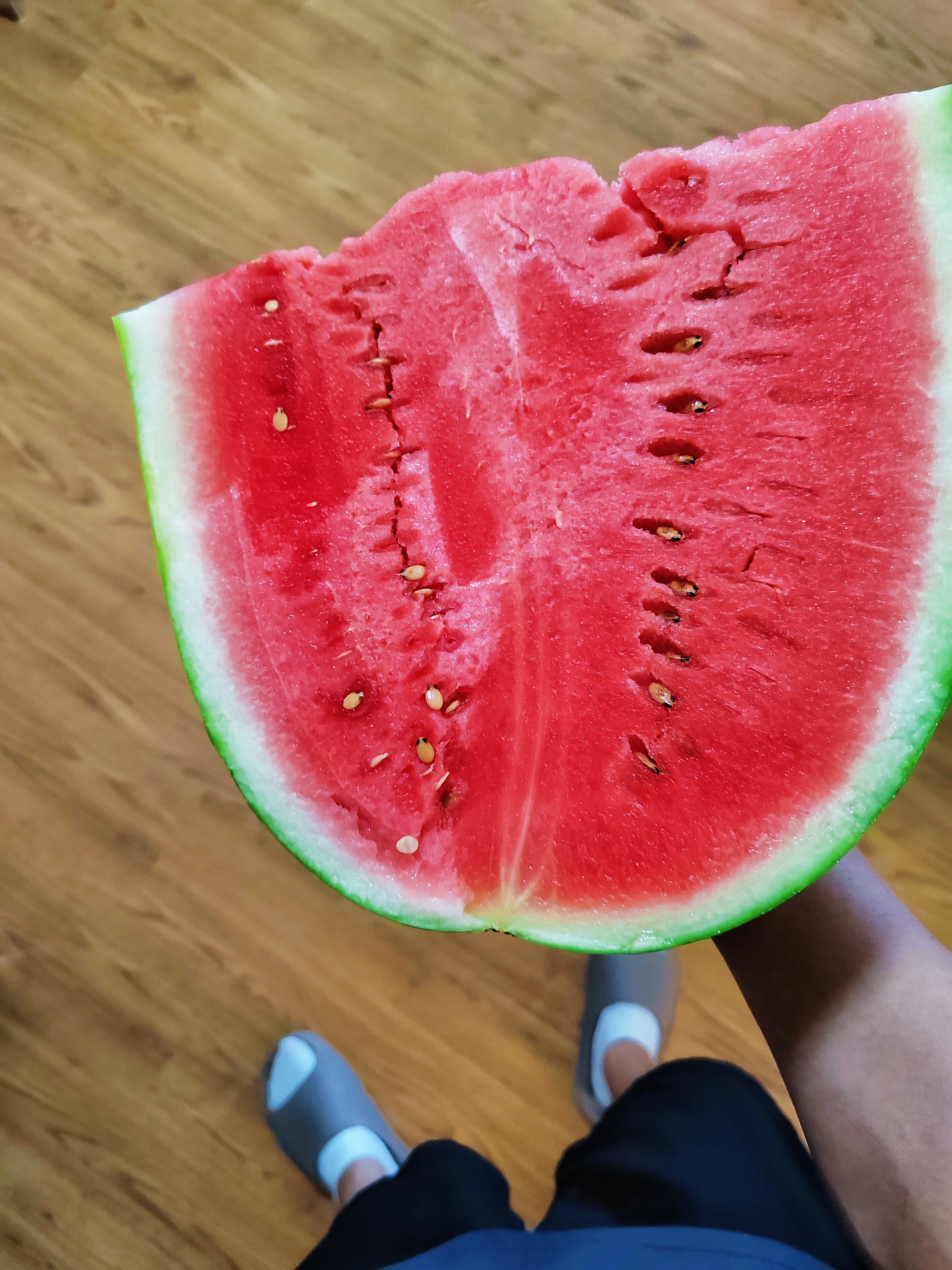 最近西瓜🍉很便宜，一般都在一元左右。宁夏瓜不太甜卖不动，麒麟瓜1.5味道不错，