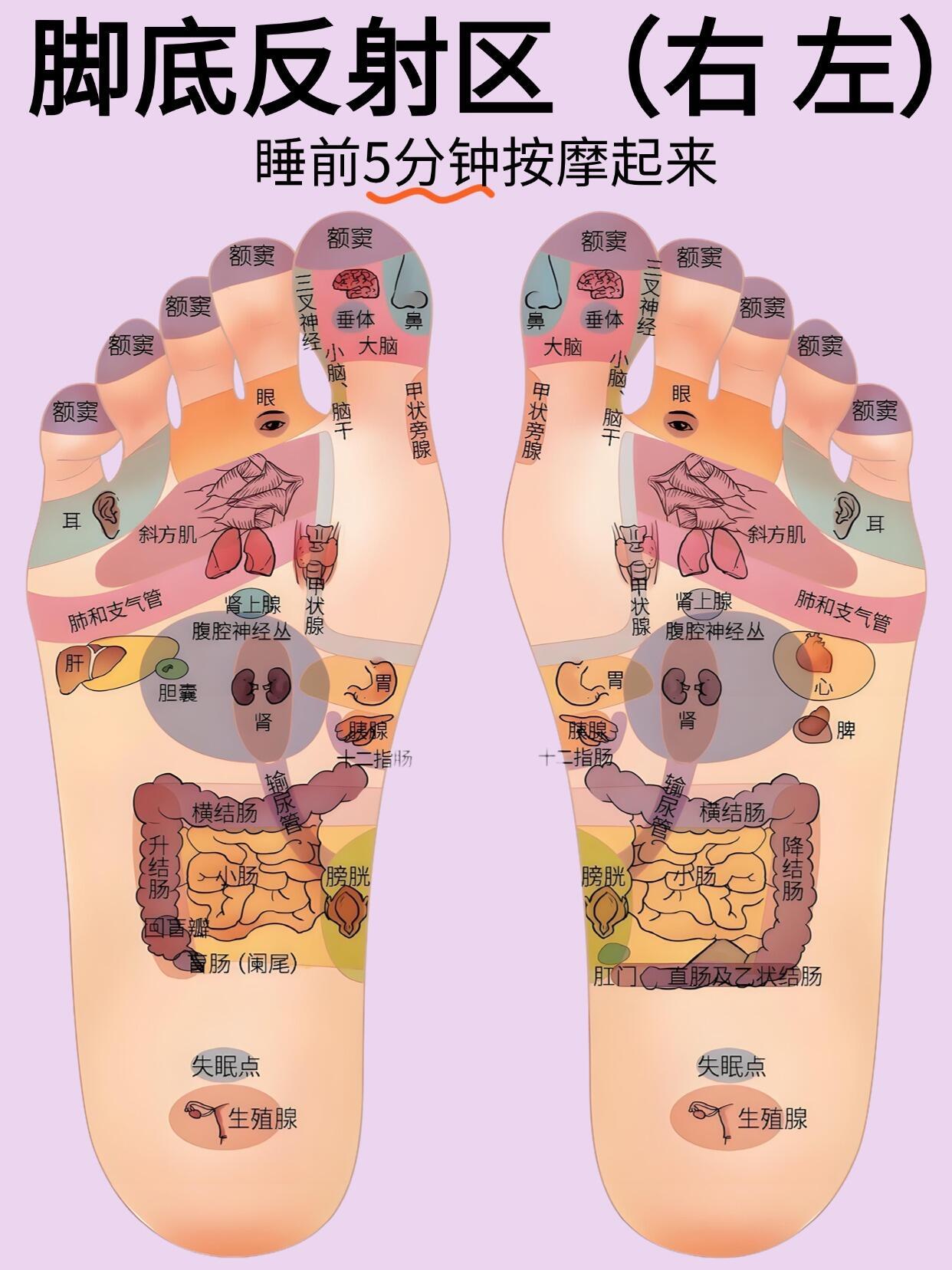 中医说：人老足先衰，按摩先按脚❗❗家人们谁懂啊！最近研究脚底穴位，发现简直是 “