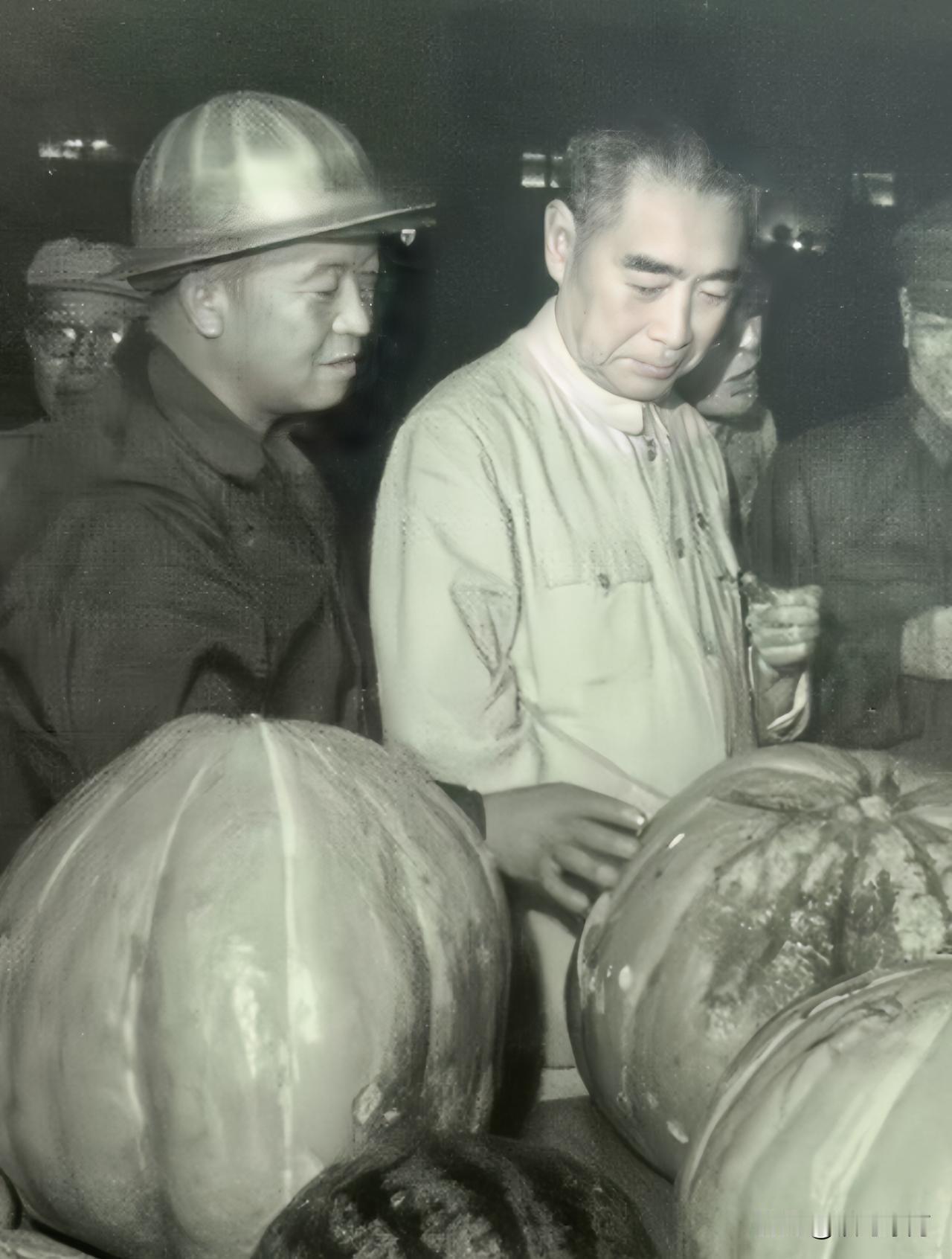 🍁深夜，周总理为什么在大庆油田展览馆，俯身端详这枚大南瓜？
这是他第三次视察大