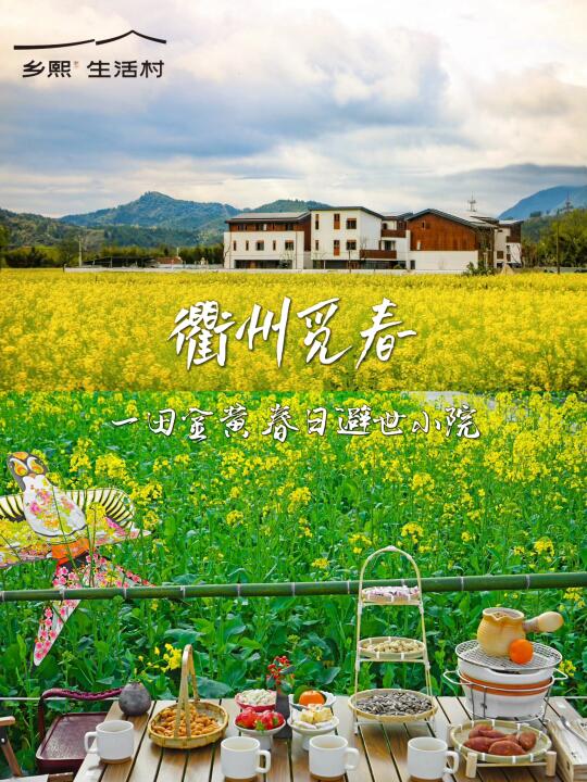 浪漫疯了！油菜花田里围炉煮茶，醉享春光