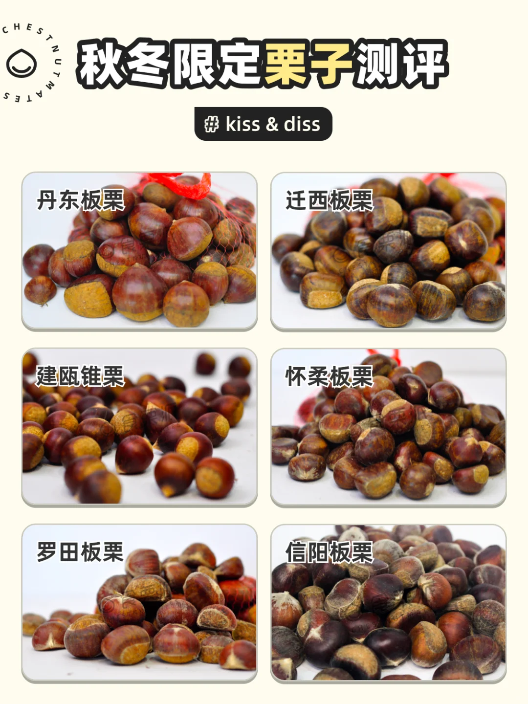 6款「网红」栗子实测｜产地、口感、吃法，抄作业！