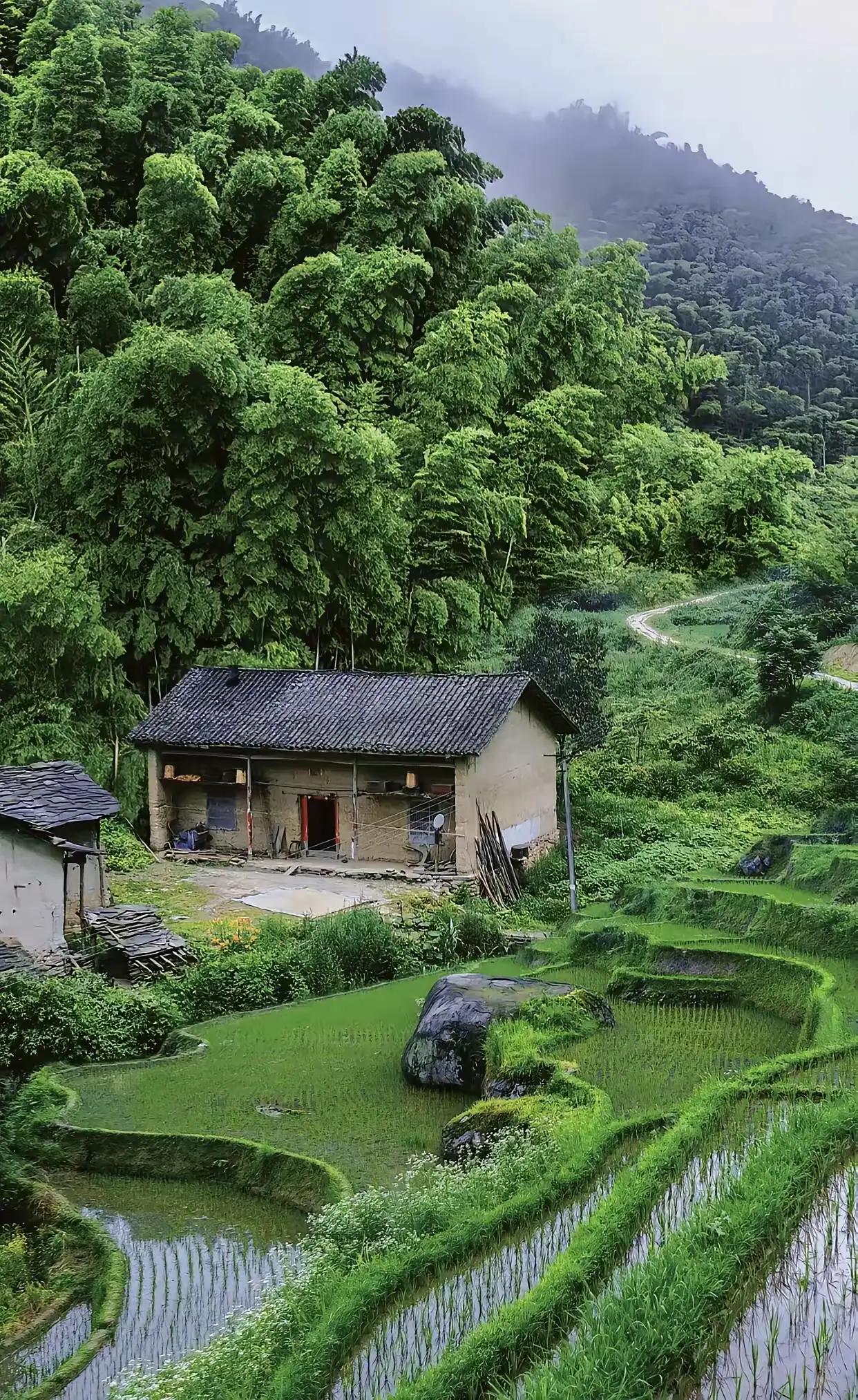 村里有对夫妻，婚后无子，男人倒也坦然，有天他进山采药，靠石头睡了，醒来后，无意中