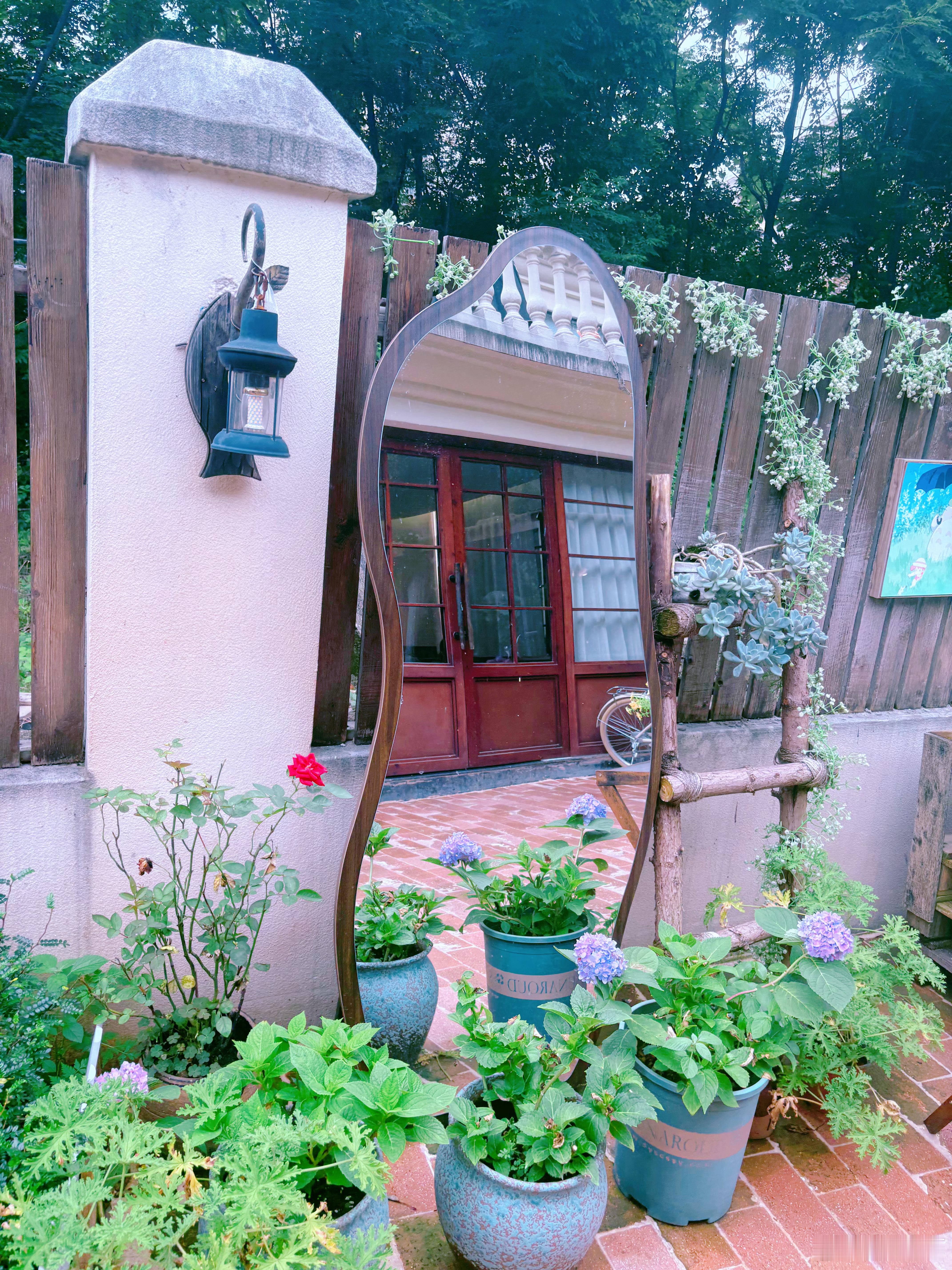 今日份简单舒服早餐打卡✨一杯东方树叶普洱、清甜苹果，再加一个馅料满满的恰巴塔，清
