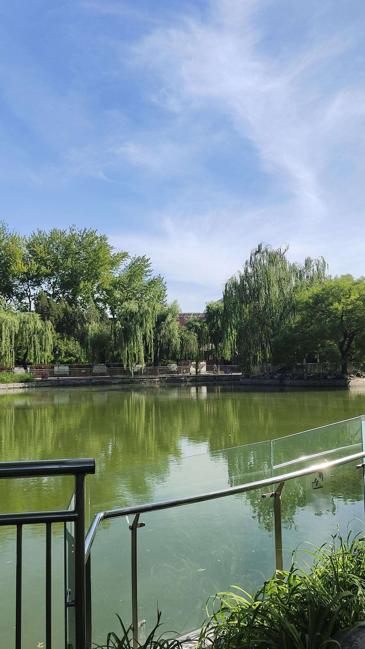 在北京大兴清源路地铁站旁边，藏着一处清幽好去处——黄村公园，几步路就能从喧嚣的地