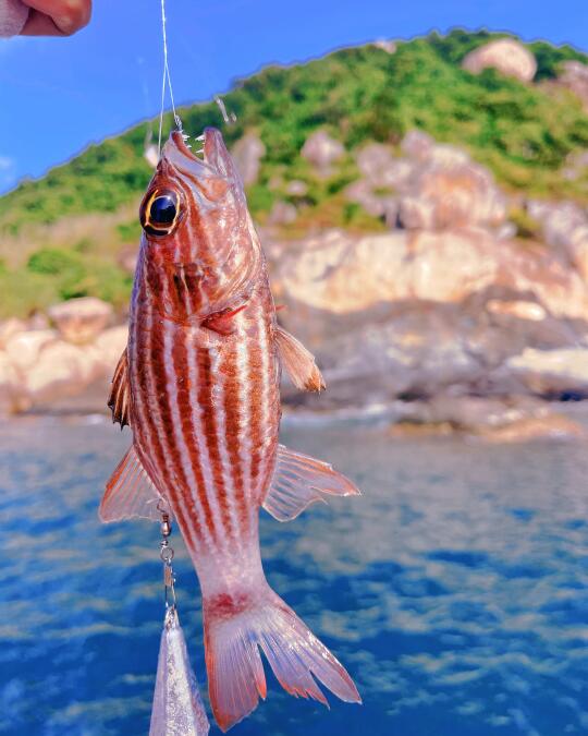 钓鱼佬解锁新物种🎣